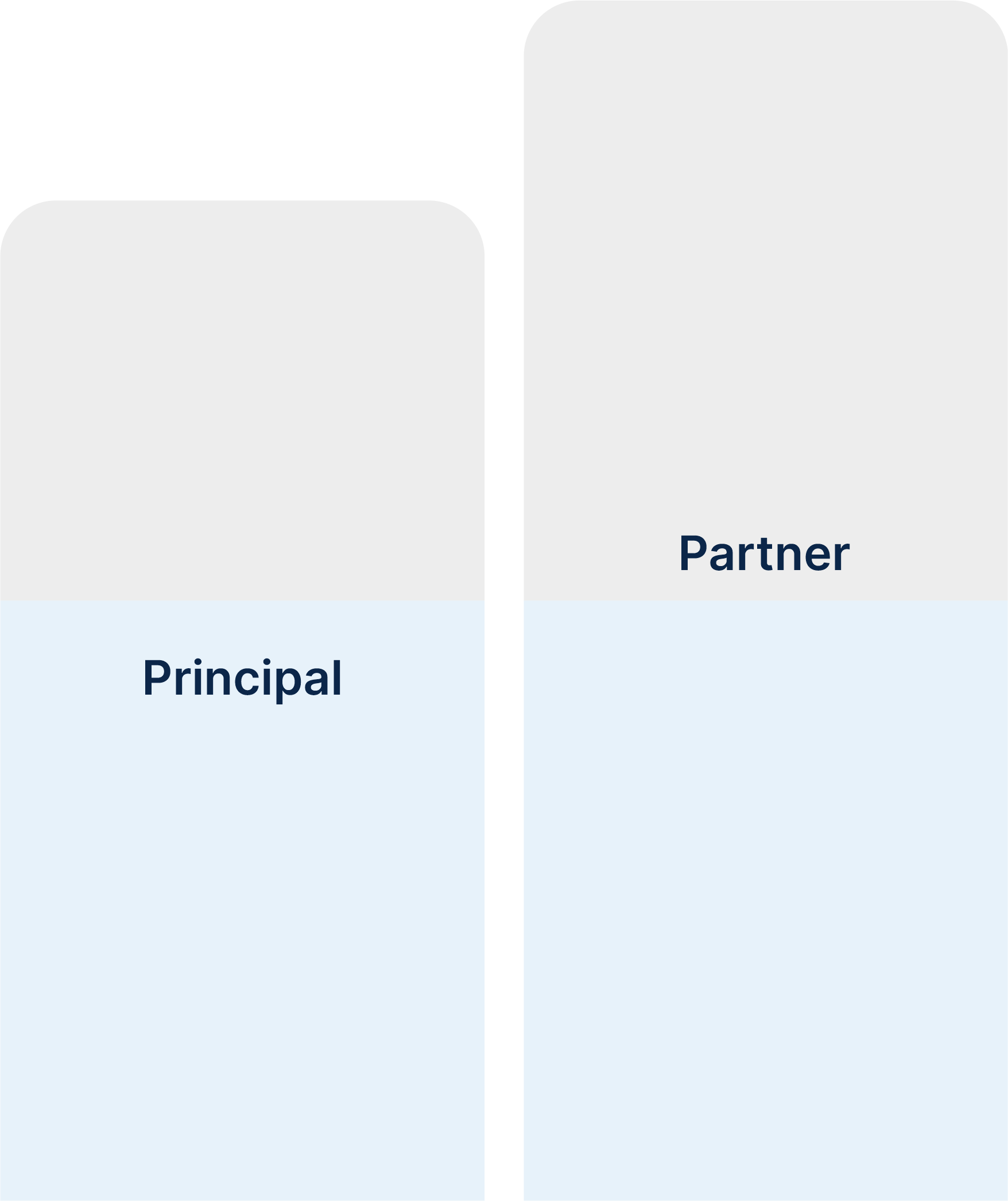 Principal partner