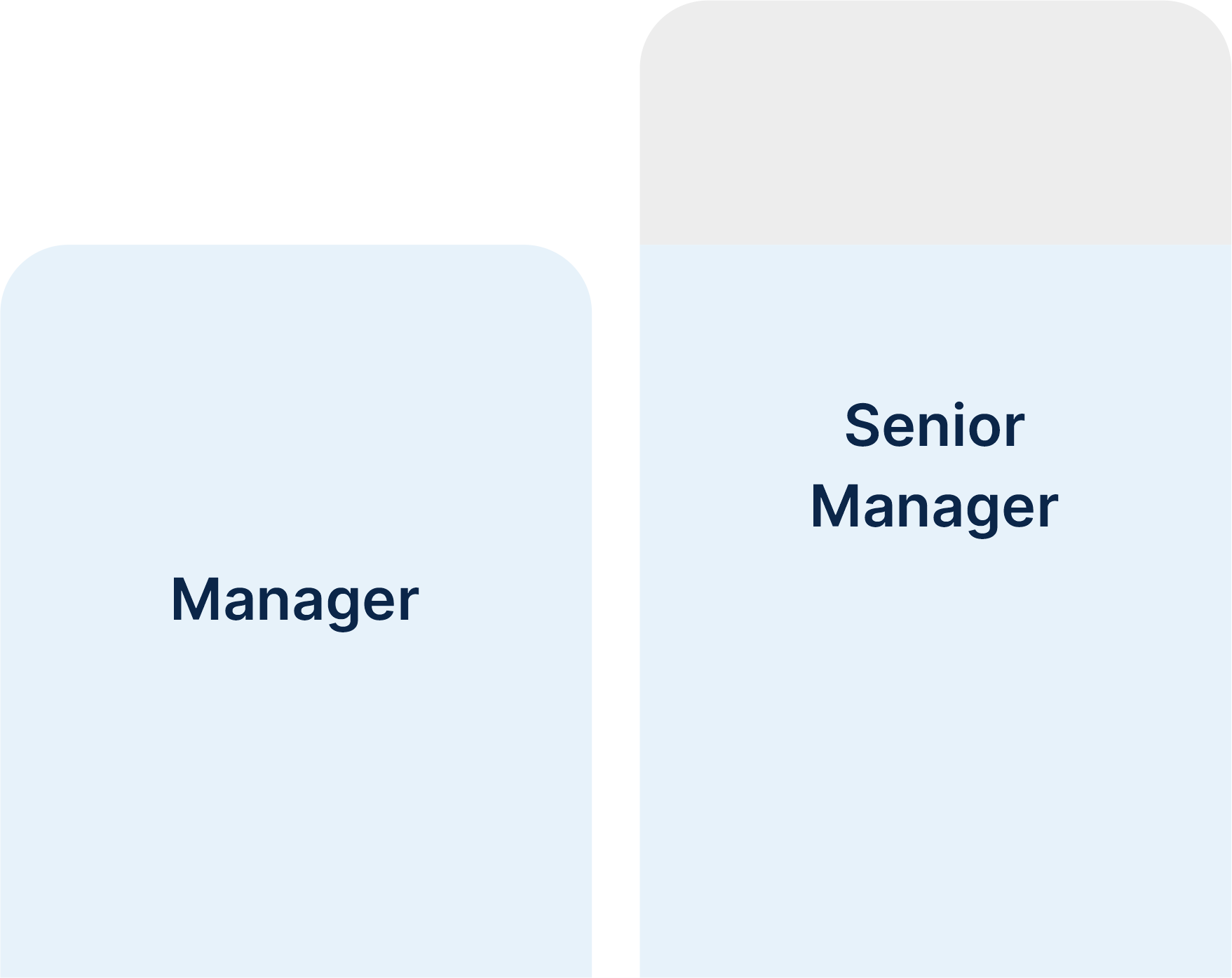 manager senior manager